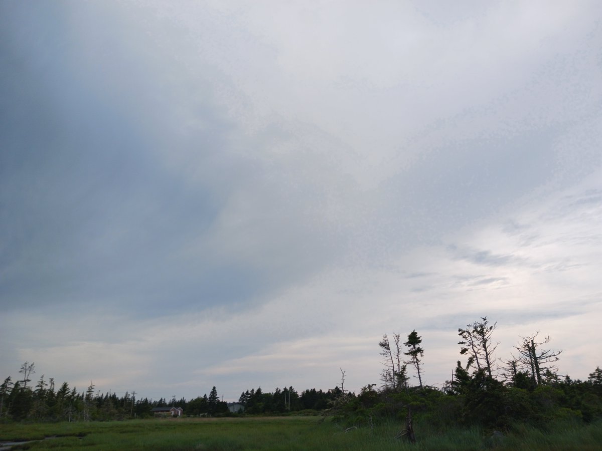 ImagesCoast's tweet photo. 👂🦻🦻👻☠️
"A steady roar overhead... every five minutes or less... this phone don't pick up sh*t."
An aerosol blanket almost everyday means you can only hear the frequent orbs jettisoning their poison on to the unsuspecting victims below. If...
July 7th 2026 #escapethematrix https://t.co/UE9kkk4Jna