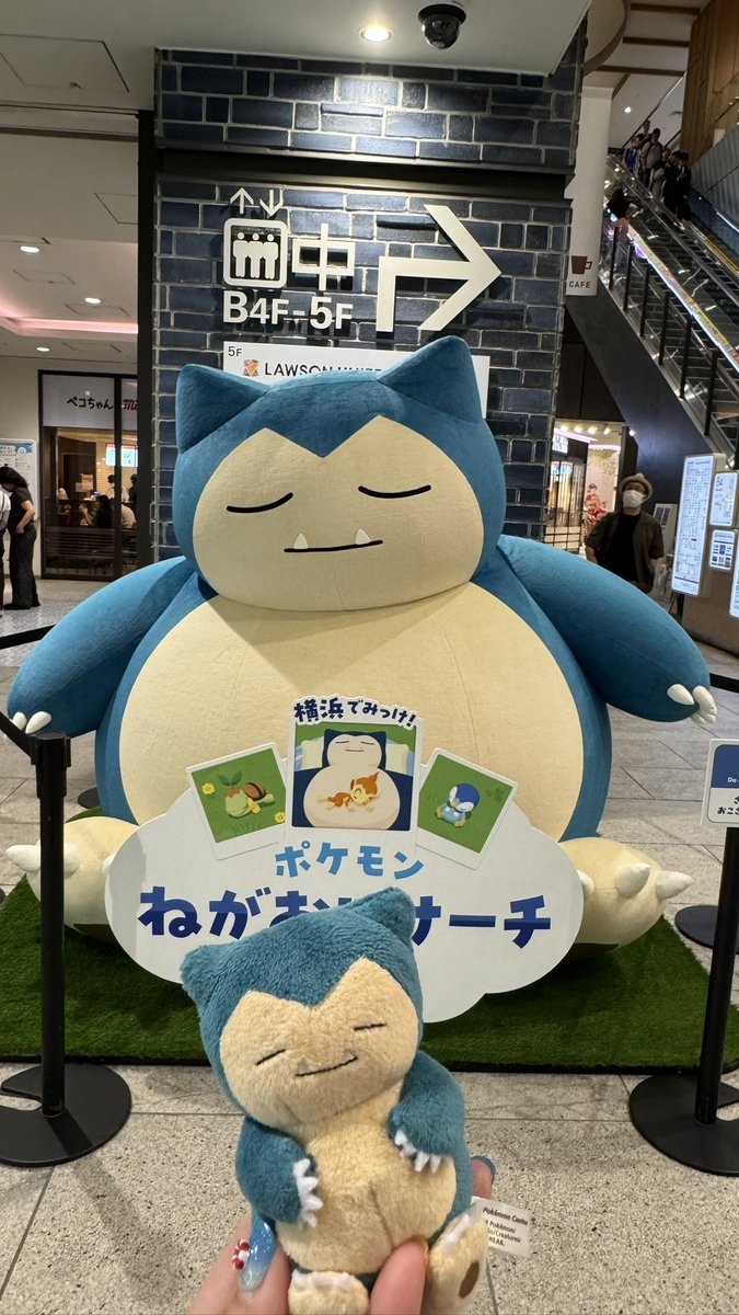 harukarina's tweet photo. 来月に小さなお友達が来るので相棒と下見に行って来た。 https://t.co/GqNvdTkw7u