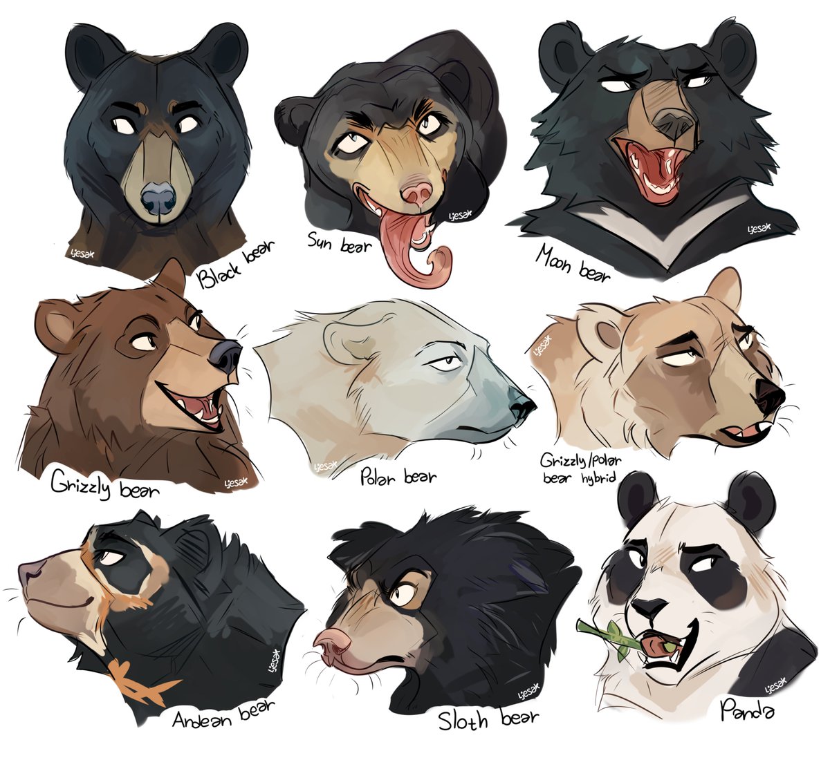 ljesak's tweet photo. bears! https://t.co/UkPGDbdbUq