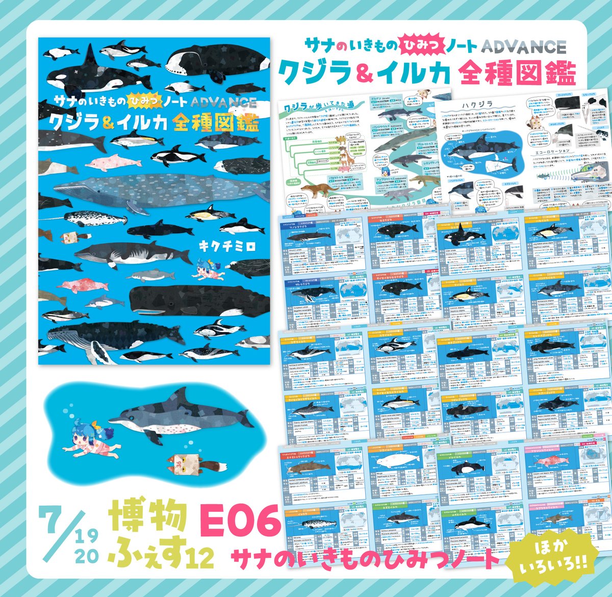 博物ふぇす で出す本『クジラ&イルカ 全種図鑑』 世界のクジラ・イルカ