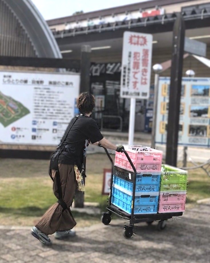 musclesuitEvery's tweet photo. 【導入事例を公開✨】 大阪府堺市で「甘人トマト」を栽培する農家・小林様親子が #アシストスーツ を導入！🍅  「今いる家族が長く健康に働き続けられる環境を作りたい」 中腰の収穫作業やコンテナ運搬の負担をマッスルスーツがどう軽減したのか？生の声をぜひご覧ください👇 https://t.co/ZP3210MxwQ https://t.co/Ps7FhEOI0M