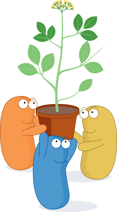 NatureRevMicro's tweet photo. New online! Echoes in the earth: how microbiomes help plants remember and resist https://t.co/WEBh1FPj3E https://t.co/2uM6b9CgKS