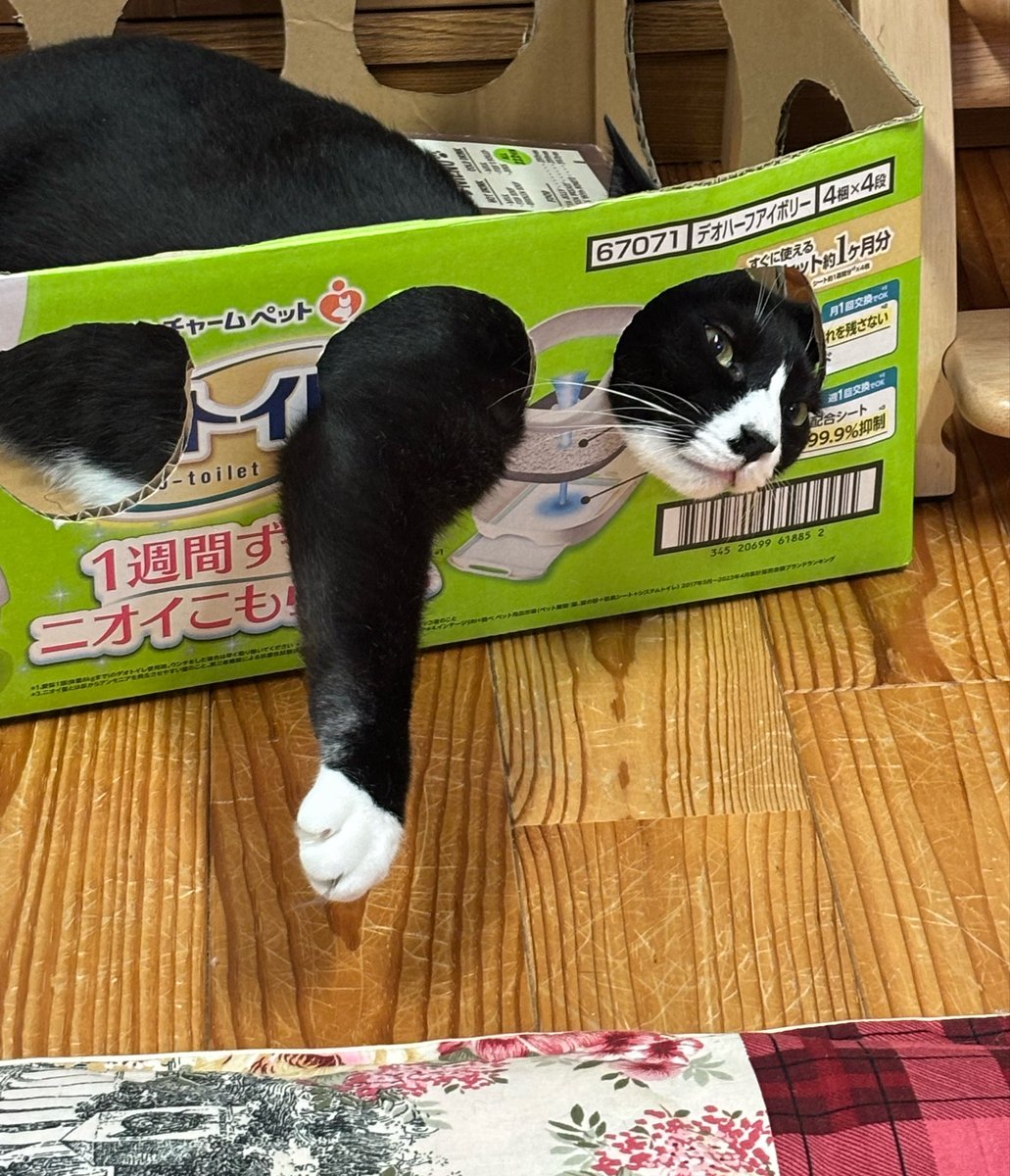 ごろう様 お気に入り(=^x^=)