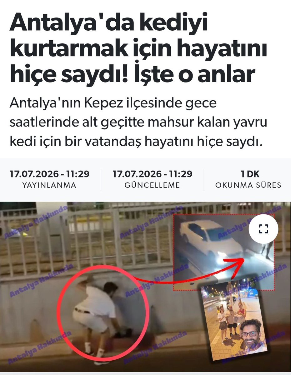 Koçovalı tweet media