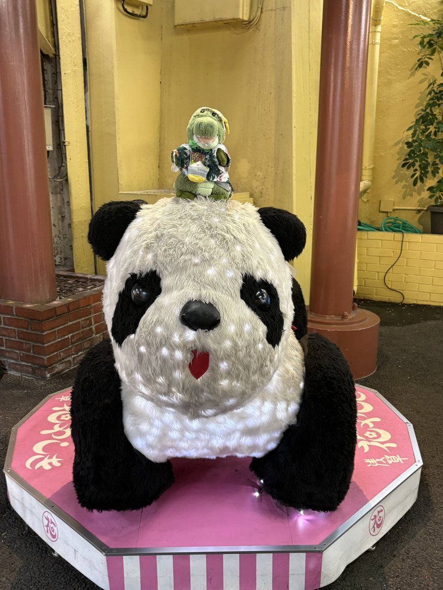 stuffedtoy_wsb's tweet photo. 昨日、『花やしき』行ってきまして。
実はお初でした。
コラボ目的で行ったので、アトラクは何も乗りませんでしたが、めちゃくちゃ楽しかったです☺️
ワリちゃんもずっとキャッキャしてたなぁ😊
可愛かったなぁ🥰️
#ワーリー #ぬい撮り #ぬい活 https://t.co/HJzDi7fUUO