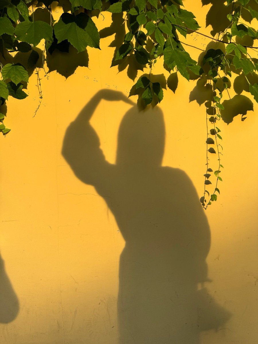 chaeda0701's tweet photo. New to photography Start with mastering natural light – it’s free, forgiving, and can make even basic subjects look stunning. Shoot in golden hour (just after sunrise/before sunset) for the warmest glow! https://t.co/oEIo7JAV8C