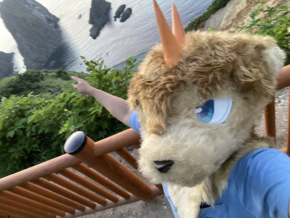 jiritogire's tweet photo. 積丹の島武意海岸でドグホの着ぐるみヘッド被って自撮りした！
夕焼けめっちゃ綺麗だった〜🌆 https://t.co/o7TxuvIWtw