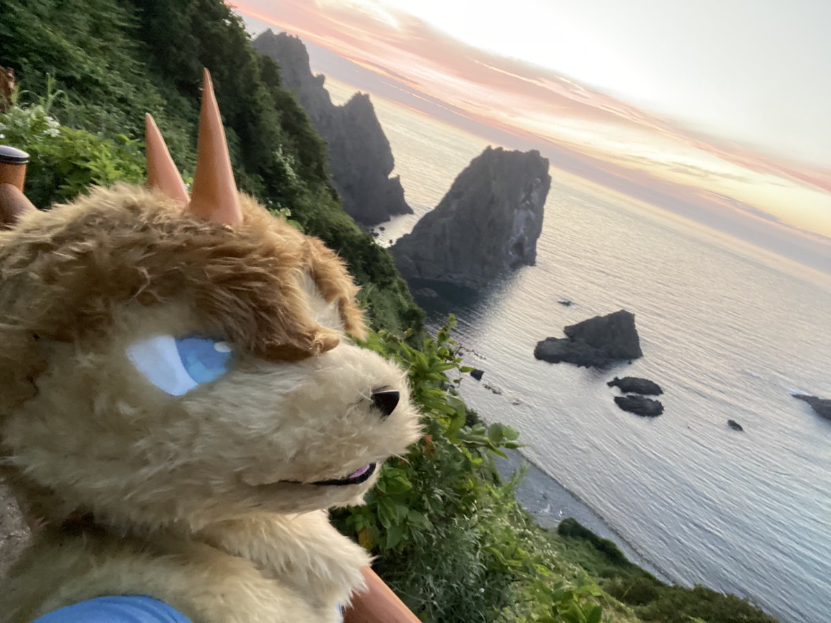jiritogire's tweet photo. 積丹の島武意海岸でドグホの着ぐるみヘッド被って自撮りした！
夕焼けめっちゃ綺麗だった〜🌆 https://t.co/o7TxuvIWtw