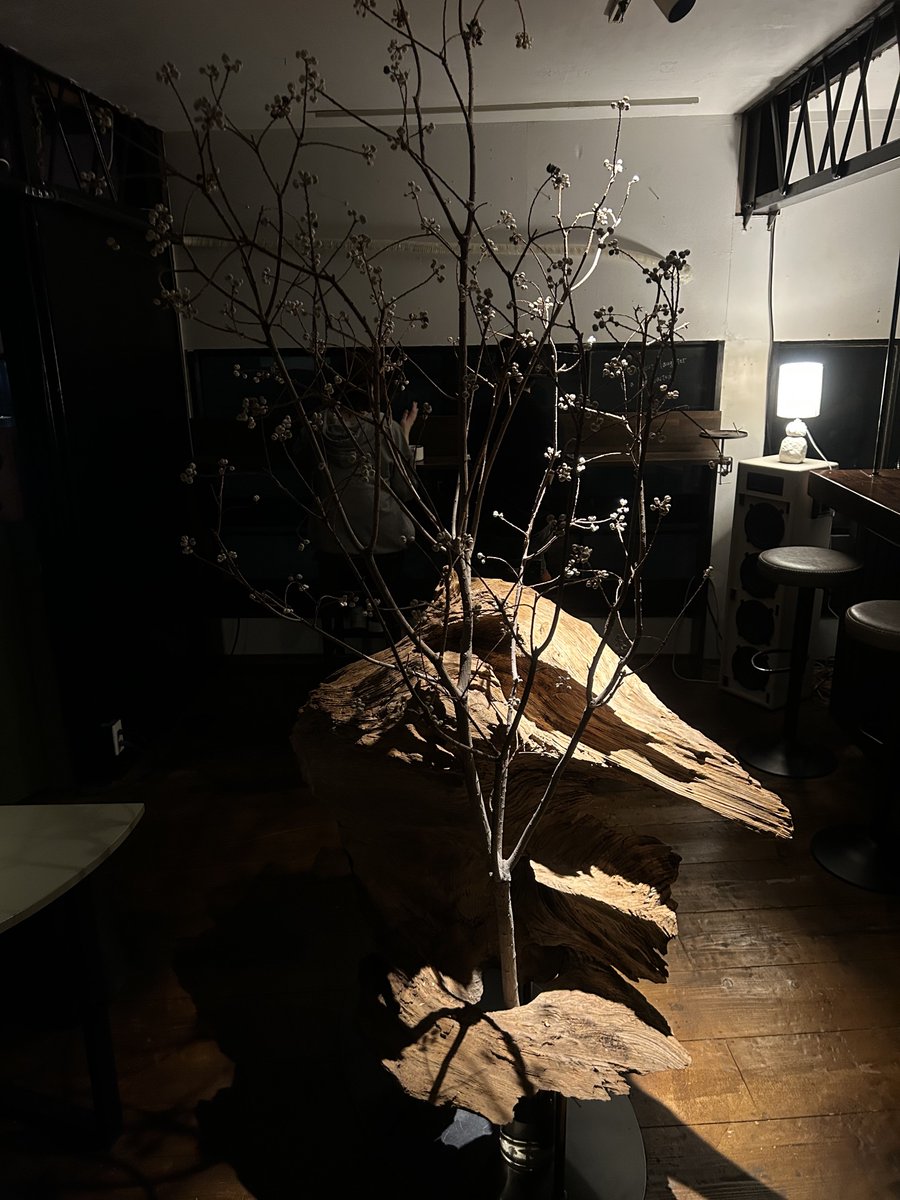 Tsubasa_cg's tweet photo. 初夜カフェ☕️ https://t.co/I84pRWbWt6