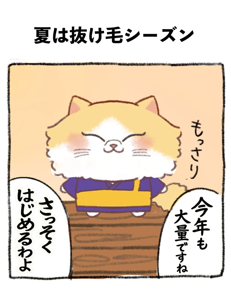 NYANNYANJI's tweet photo. 生産者の顔がわかって安心ですニャ〜😸😻
#猫猫寺 #猫猫寺湯布別院 #猫住職 #猫マンガ #catmagazine https://t.co/ihNx7zJARB