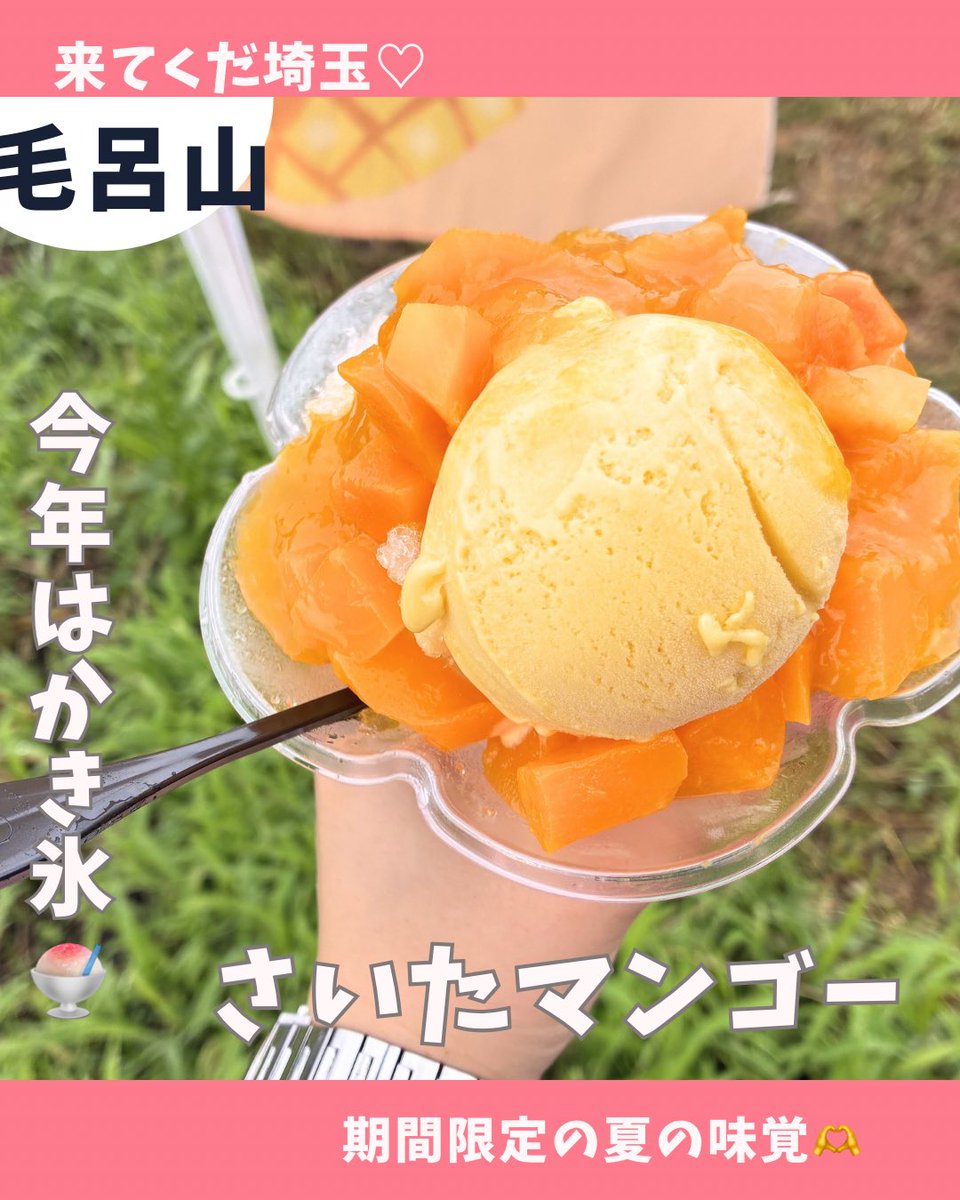 lovemarietic's tweet photo. うー！埼玉でマンゴー!?🥭
毛呂山町の
【さいたマンゴー】行ってきたよ❤️
@saitamango2020 

新登場のマンゴーかき氷は、
果肉ゴロゴロで「多すぎない!?🤣」ってなるレベル♡

よねは＋300円の
「マンゴーマシマシ」にしたよ！
今年は生マンゴーが少なめなので
気になる人はお早めに
来てくだ埼玉❤️ https://t.co/v7Roied5kZ