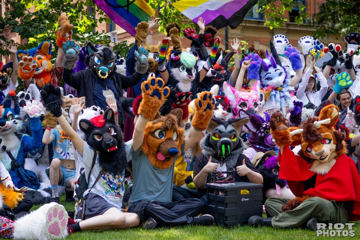 ratbatboi's tweet photo. Happy #fursuitfriday 
@polybunz 
@Furry_AceDoggo 
Photo by: riot photos on and batography https://t.co/0urLrxQUL7