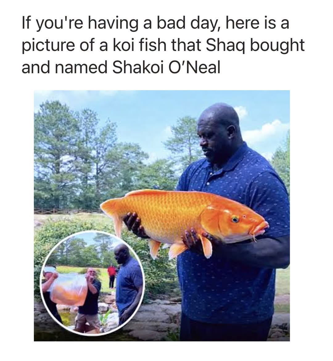 MensHumor's tweet photo. He should name that koi fish @KevinHart4real https://t.co/91tjgOAq55