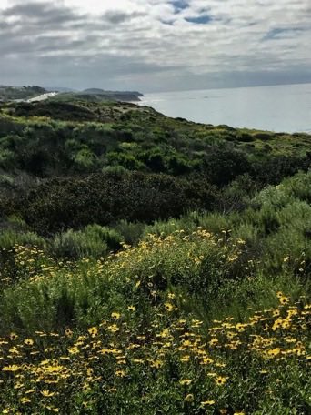 _Naturaee's tweet photo. greenery https://t.co/OefHa3i47h