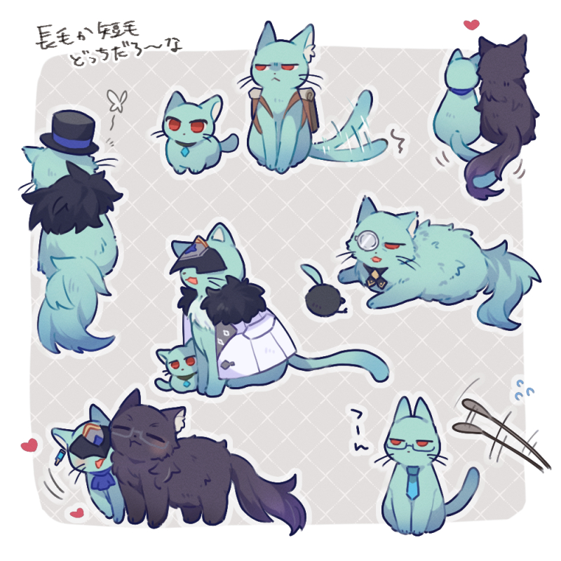 km_mmmk's tweet photo. 富博キャット🐈 https://t.co/HgPFkAT4zw