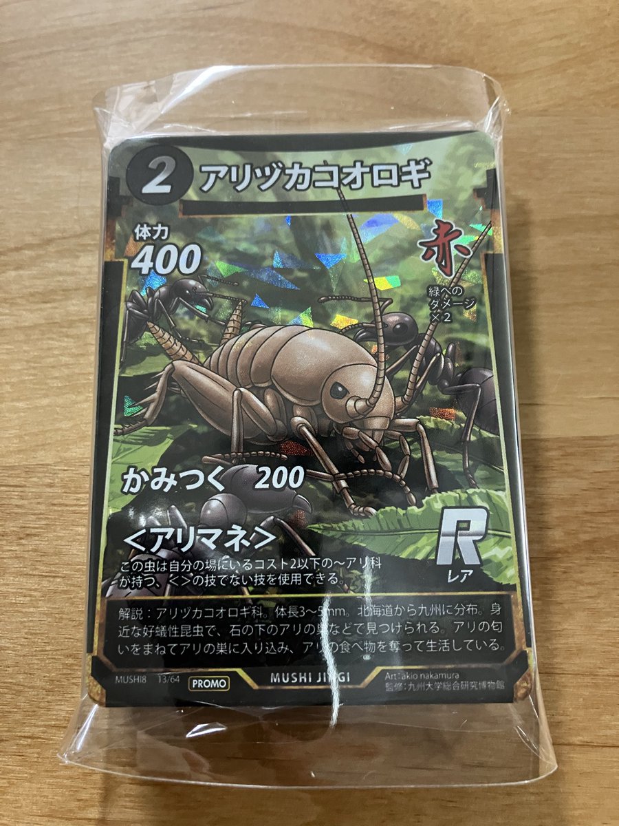 私のところには21時現在でアリヅカコオロギ届いておりませんでした