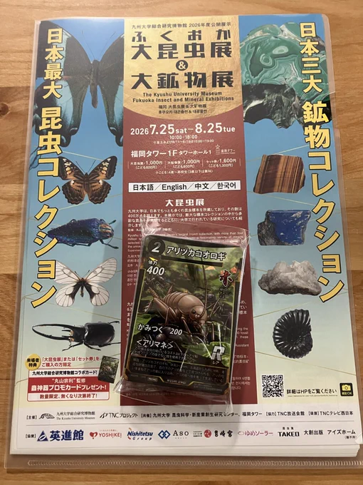 沖縄 蟲神器｜千怪戦戯｜生き物屋ばんば on X: 