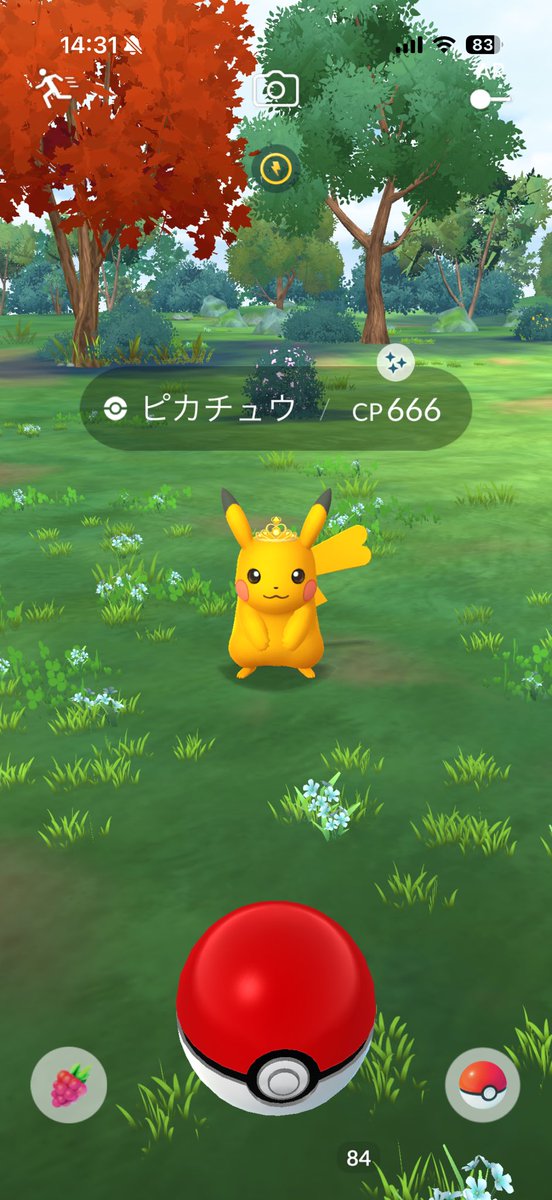 Tokyoto2020's tweet photo. 一億年ぶりにポケモンGOやってたら今日だけで色違いのピカチュウ4匹も出ててどういうことなんw
移動なんてせいぜい1キロくらいなのに笑
昨日のチームミスティック帽子の色違い合わせて5匹。
#ポケモンGO https://t.co/NpNV8hEGqo