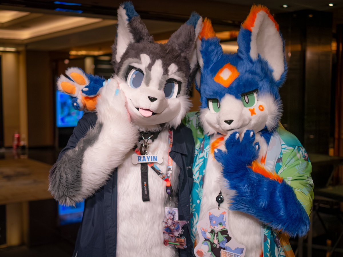 _FurLice_'s tweet photo. 看看這裡有一隻可愛的哈士奇狗狗！

🐾：@hu0214zxc
📷：@r1o827

#FursuitFriday https://t.co/vSTnGAfOU7