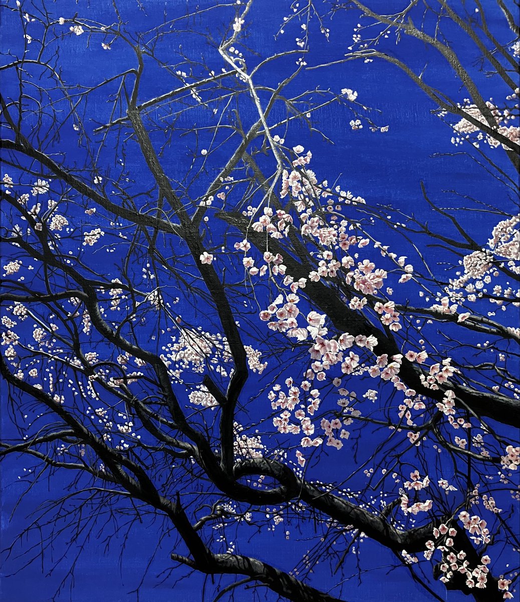 桜』 Cherry blossom 455*530 F10 Oil on canvas 油絵 #art #oilart #絵画