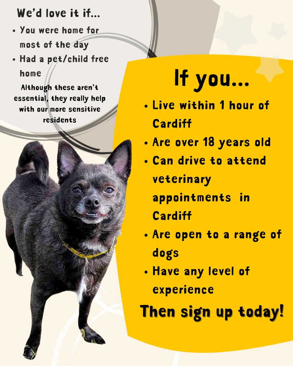 DTCardiff's tweet photo. 💛 Could you open your heart and home to a dog in need? We are looking for foster carers to give dogs a safe and loving place to stay while we search for their forever families. It won’t cost you a penny – we cover all food, vet care and supplies ✨⁣ #DogsTrust #FosterDogFriday https://t.co/G7KbltInjk