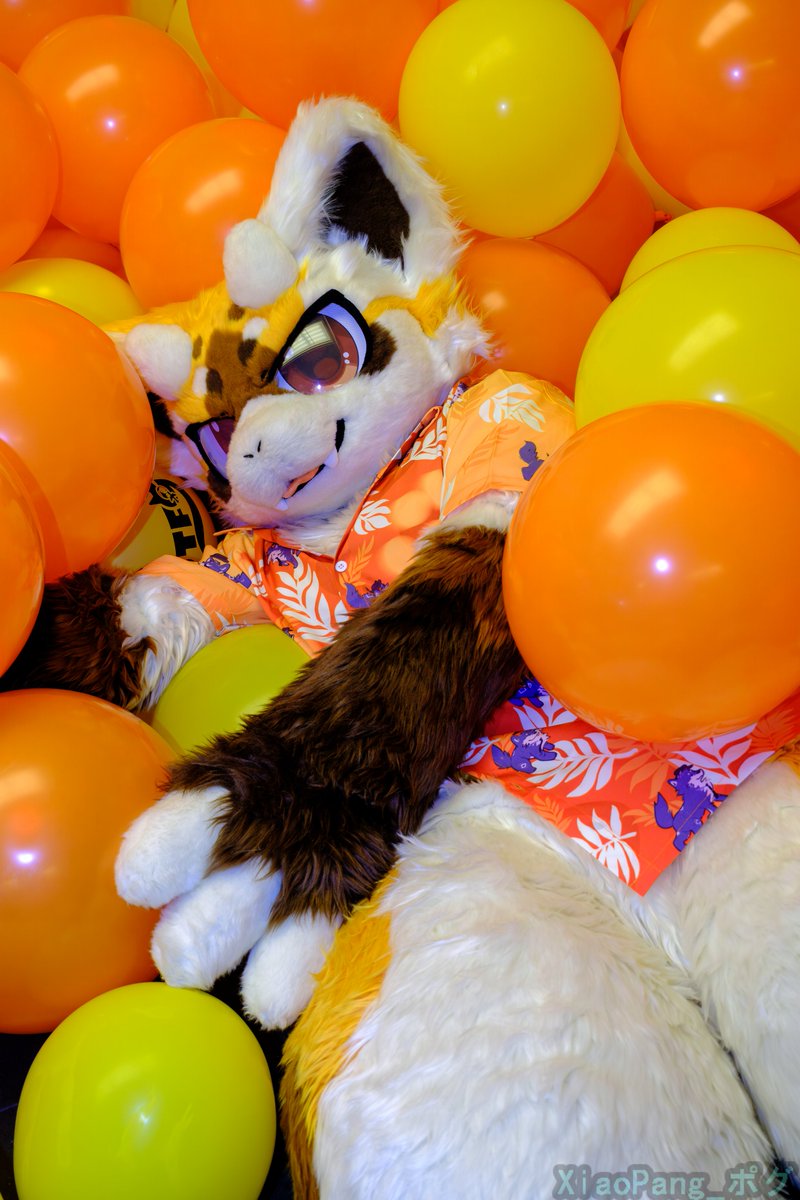 Rachi 拉祈(ラーチ) 🔜 UTFG, Infurnity, FURUM (@rachigon) / Posts / X