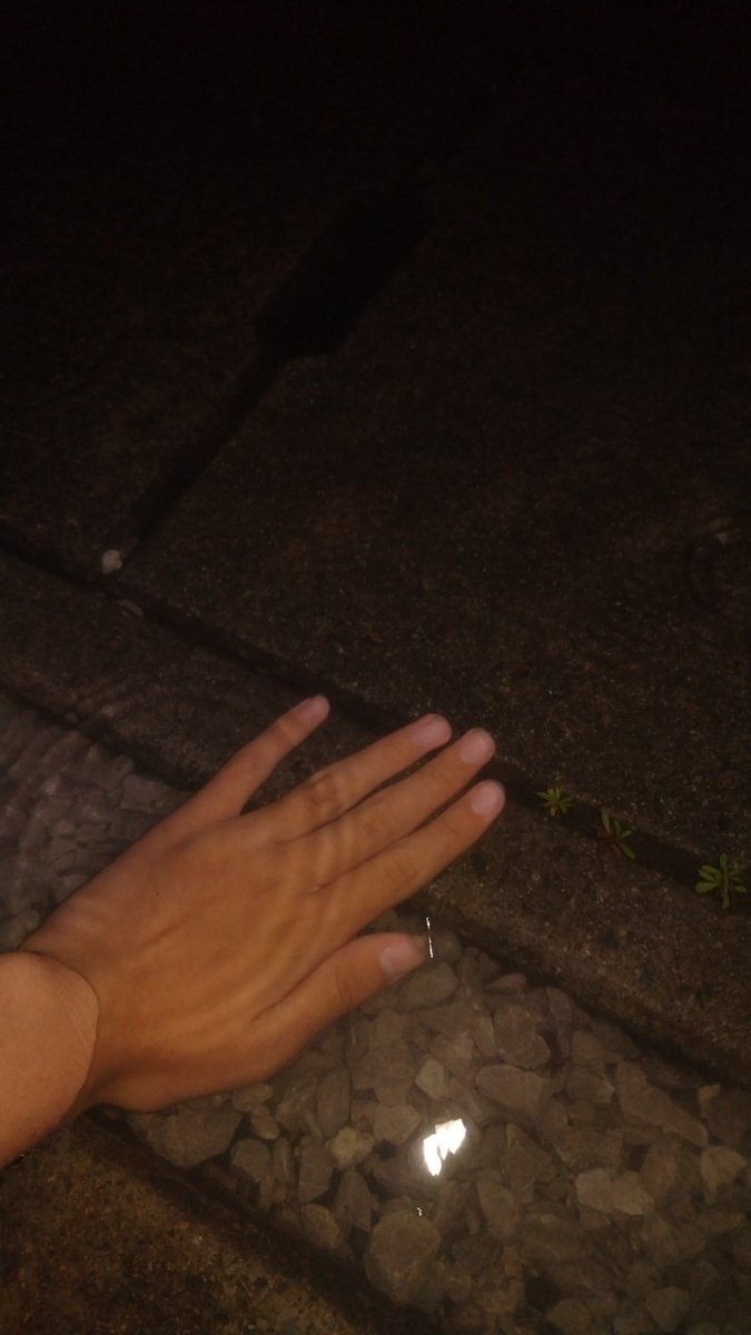 ume0305_'s tweet photo. 雨やばいって https://t.co/IxnQADdHZU