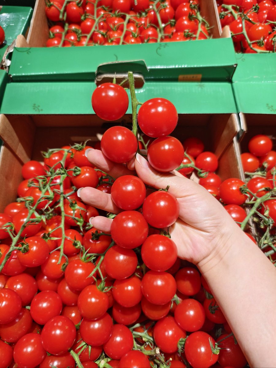 wkgieLnVPOz3mav's tweet photo. Just tried the new organic cherry tomatoes from local farm—burst with sweet juice, no bitter aftertaste, perfect for salads! Highly recommend for fresh snack lovers. https://t.co/ggccoNEbzw