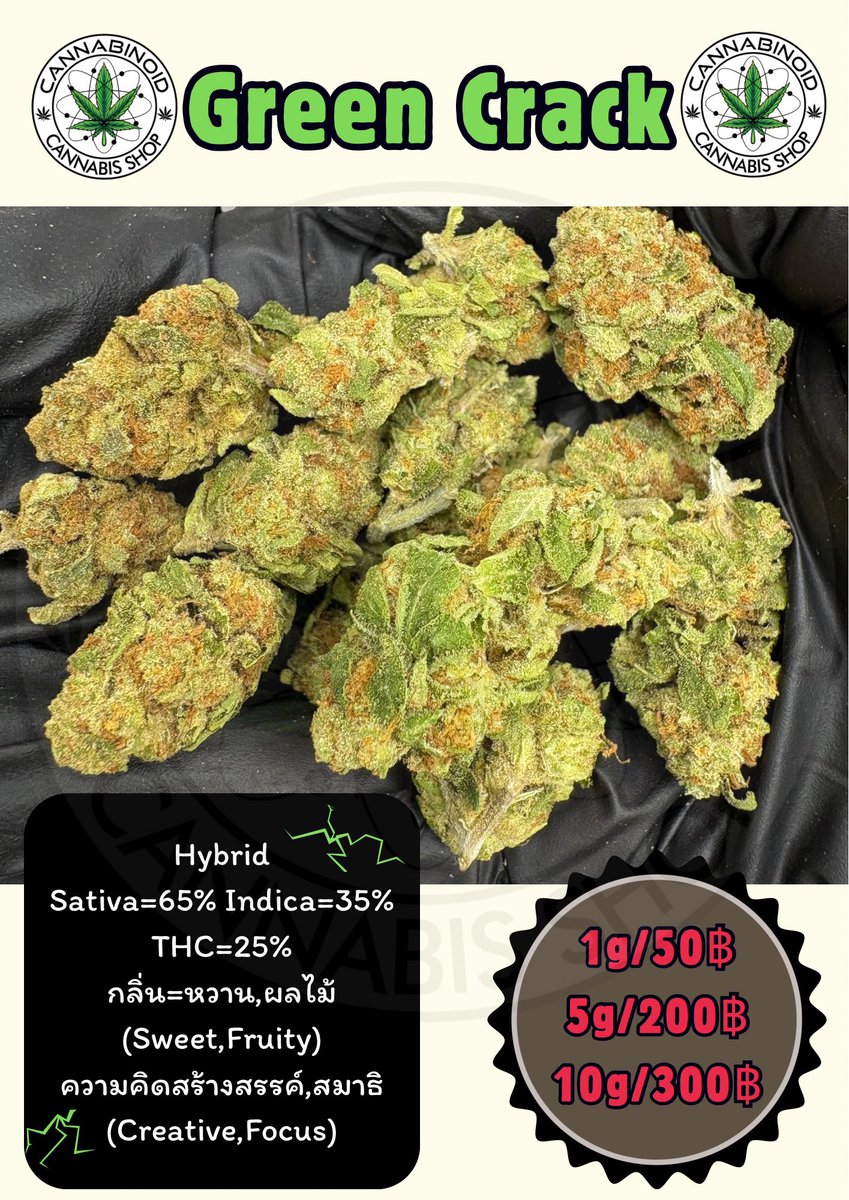 Cannabinoidhyp's tweet photo. 🥦งานชุดใหม่ลงจอดแล้วน้าา👋
🥦ช่อดอกสดใหม่จากฟาร์ม🔥
🥦เครดิตแน่นๆ ส่งทุกวัน💯

💚สนใจสอบถาม&amp;สั่งซื้อ
👉https://t.co/XU4UXZSJZD

#กัญชาเชียงใหม่ #กัญชาแม่โจ้ #กัญชาสันทราย #แม่โจ้ #กัญชาหนองจ๊อม #เชียงใหม่ #กัญชาป่าไผ่ #weedmaejo #weedphuket #สายเขียวเชียงใหม่ #กัญชาแม่ริม https://t.co/UyYo8TkIYa