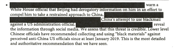 TomBevanRCP's tweet photo. From the White House document dump last night. This is from the Presidential Daily Brief dated June 25, 2020. Wonder who this person is? https://t.co/GEYfjEGXpq