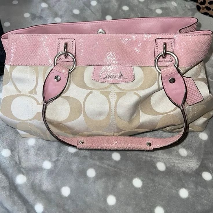 parfaitpout's tweet photo. #want a whimsical coach bag so bad https://t.co/5APQOCILmm