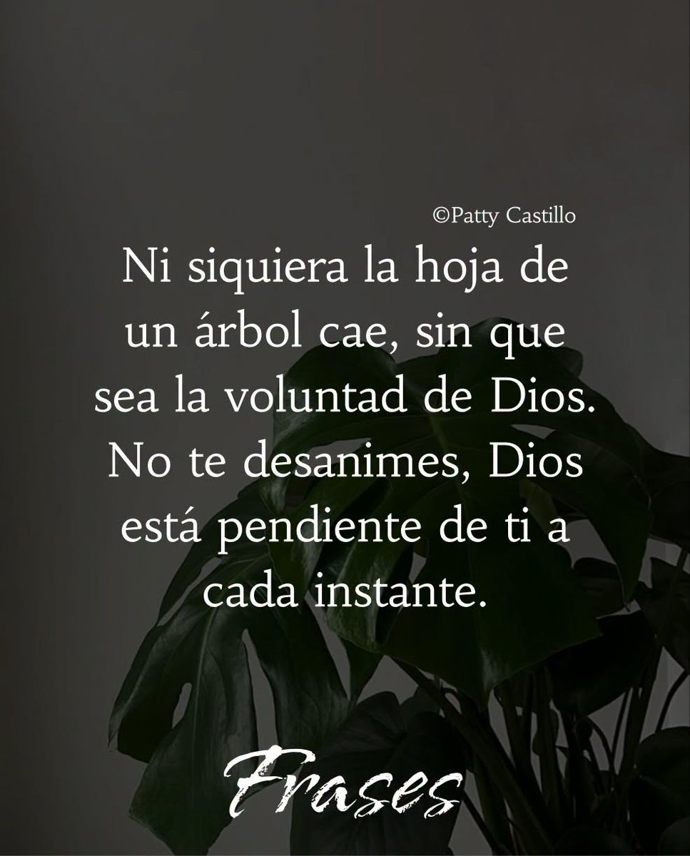 pancho8080's tweet photo. Ni siquiera... https://t.co/GcONeLAXyT