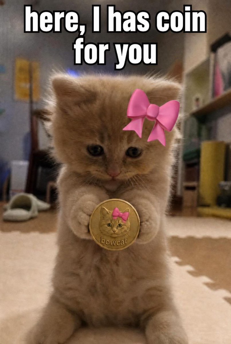 Bowcatcoin's tweet photo. @mrpunkdoteth Gm https://t.co/GArNLLxm5L