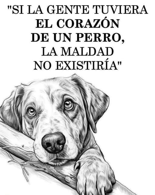 pancho8080's tweet photo. Si la gente tuviera... https://t.co/EhDWiQQ6bD