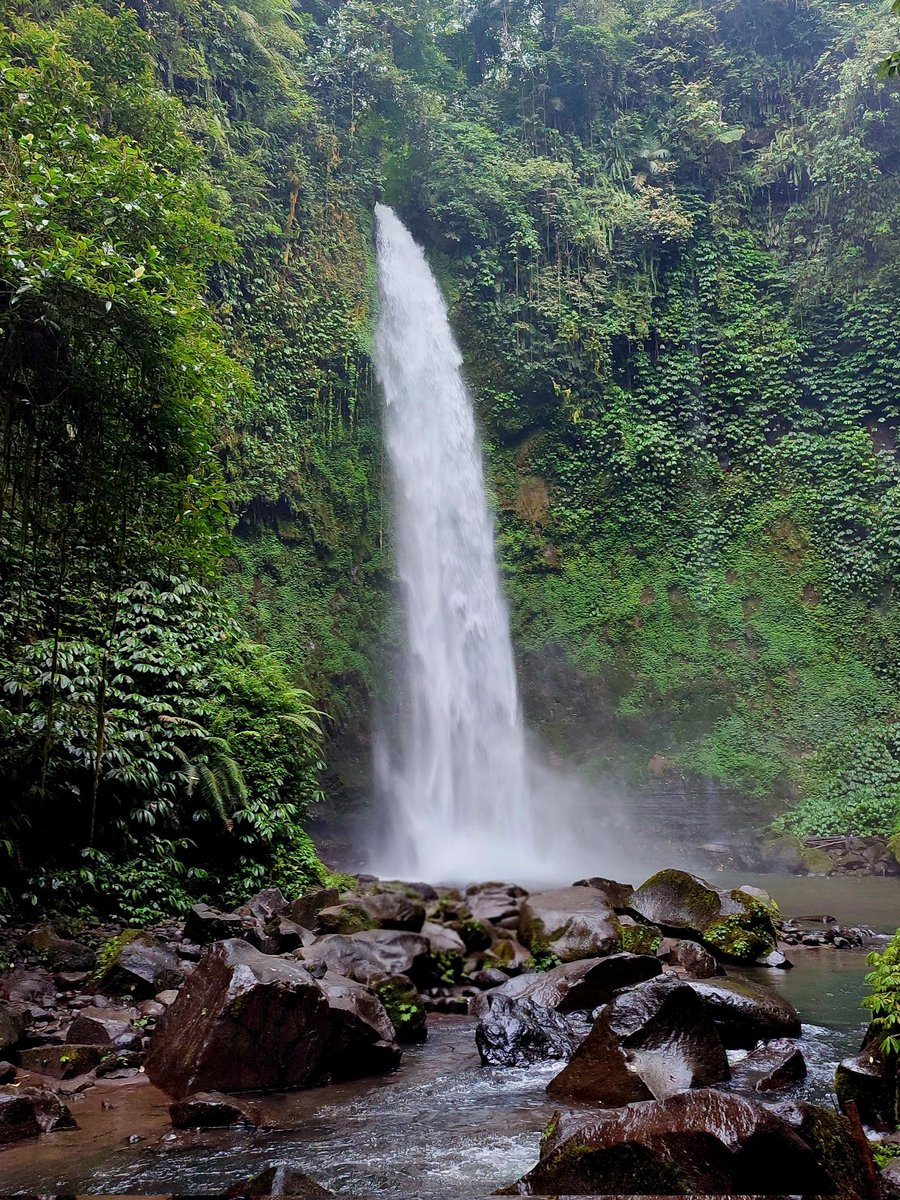 ubekimpul's tweet photo. drop the best nature photo on your phone! https://t.co/jfE8MUG09W
