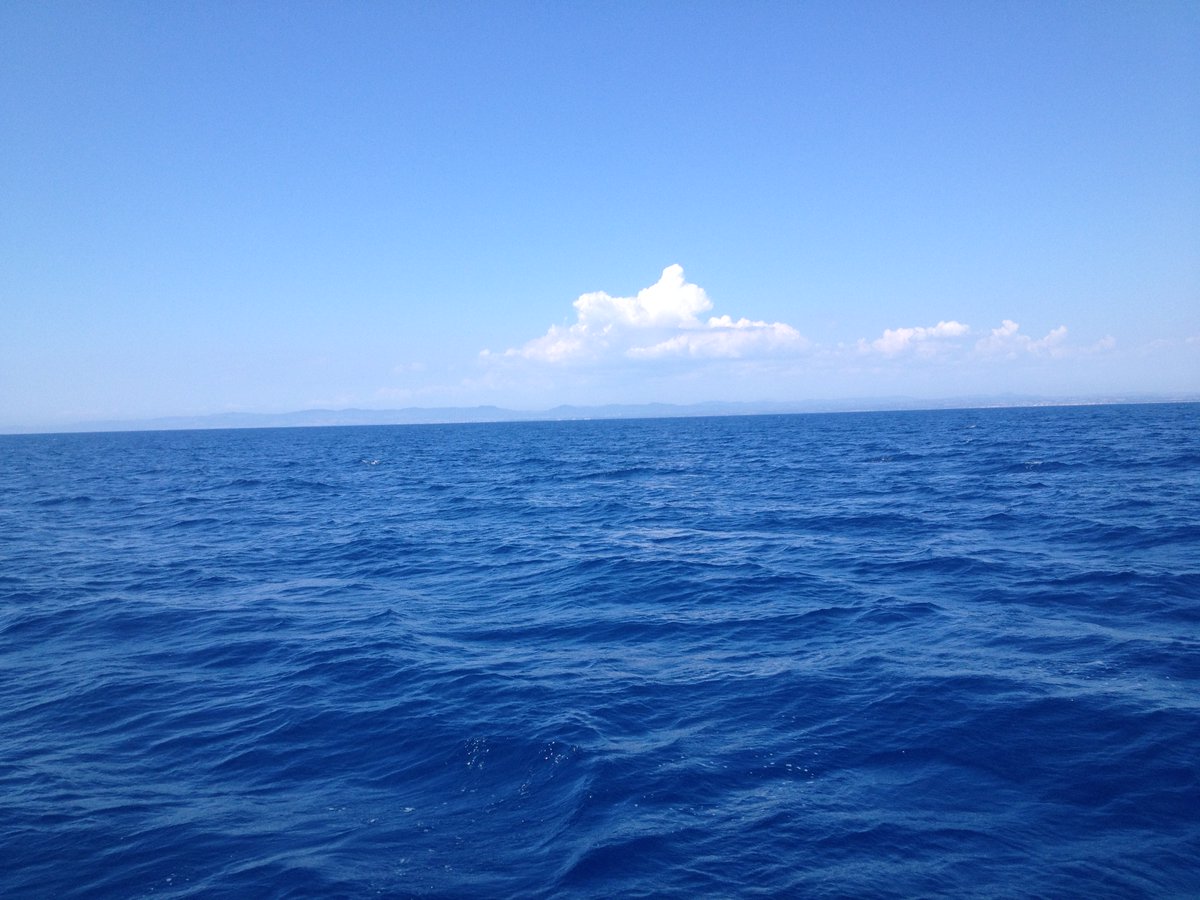 Runaway__World's tweet photo. Человек в море никогда не бывает один.
Только ветер, глубокая синева и горизонт, который зовёт дальше #Sailing #МореЗовёт #RunawayWorld #SailAway #ОткрытыеГоризонты https://t.co/xumsObpQc8