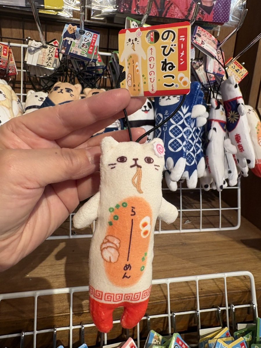 のびねこ
