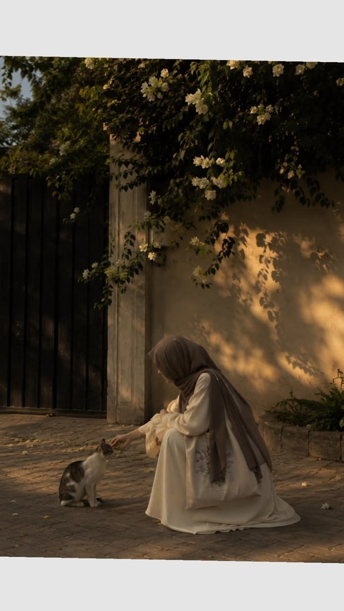 حُب 💛 tweet media