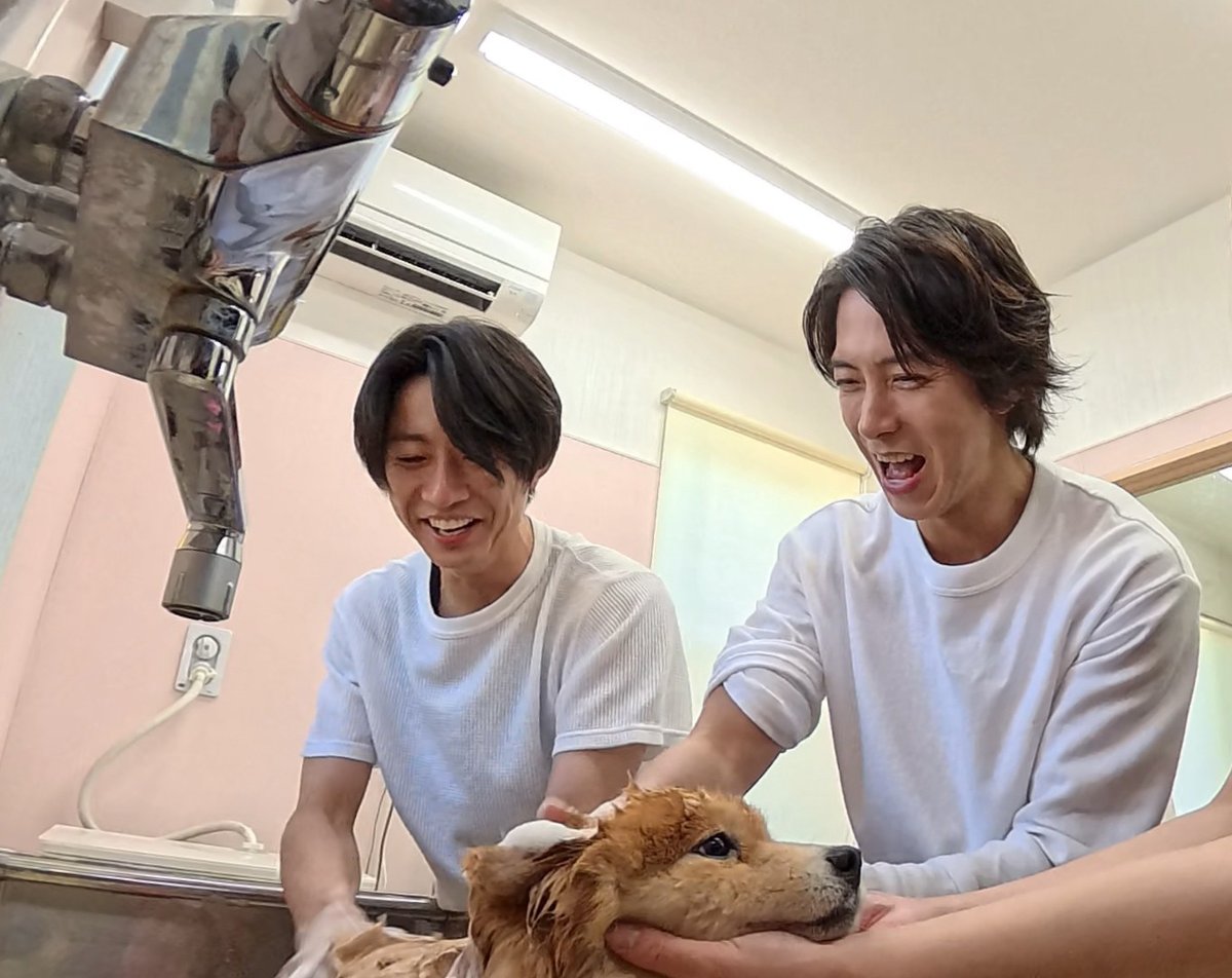 thetvjp's tweet photo. #相葉雅紀 の保護犬トリミングに、
犬支援団体を立ち上げた #山下智久 が登場
＜#嗚呼みんなの動物園＞

▼記事の続きはこちら
https://t.co/WGhTmvM9lr

@minnano_zoo_ntv https://t.co/PioJwPLSp8