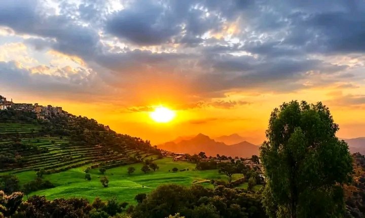 AlrdyYm's tweet photo. كم تقيم نسبة جمالها من عشرة وين تتوقع تكون في اي دولة الفائز يحصل على جائزه مالية تحول ع حسابه https://t.co/f14VIduAo1