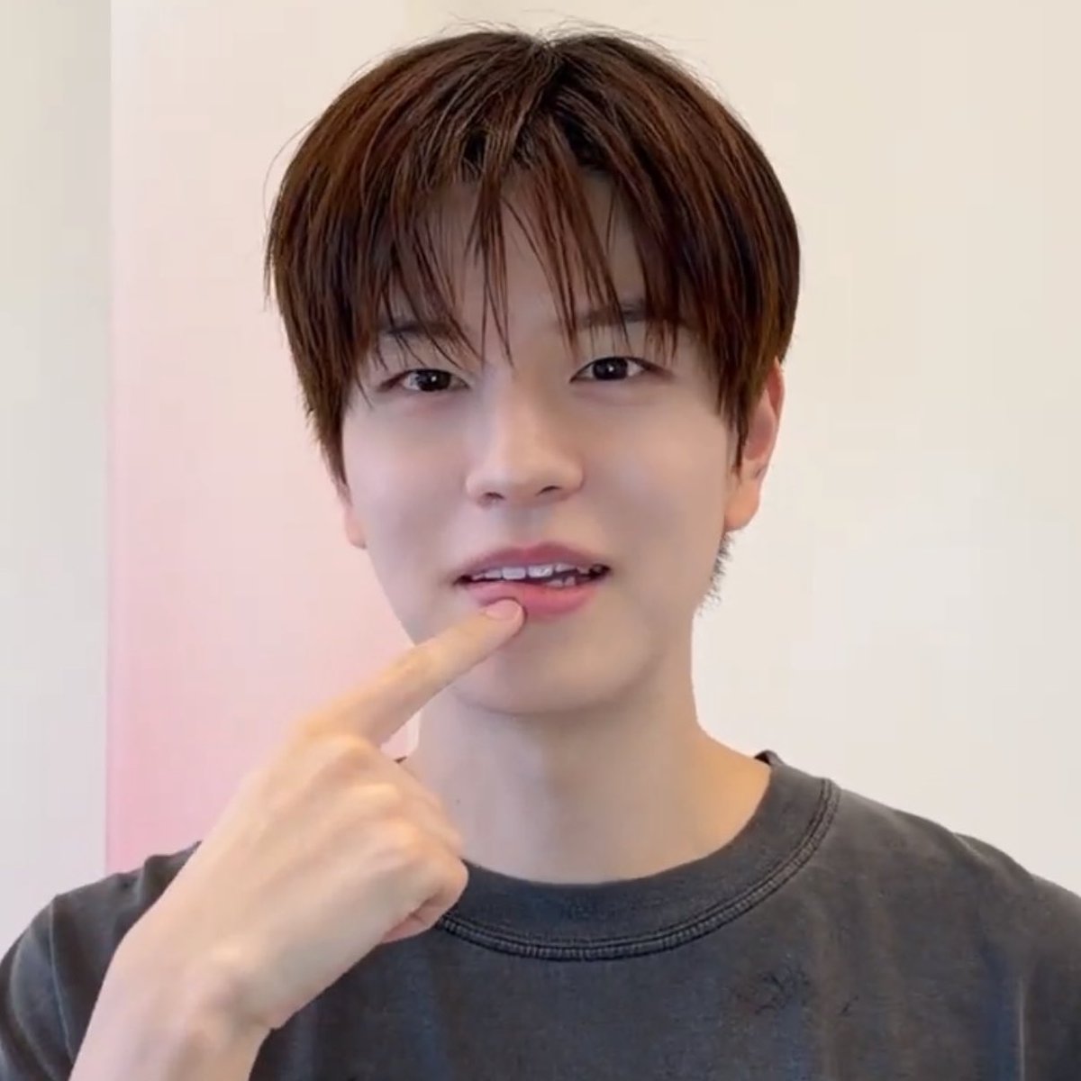 bbuggu_ming2's tweet photo. 🤍🐶🤍 https://t.co/8uGVqP6ODj