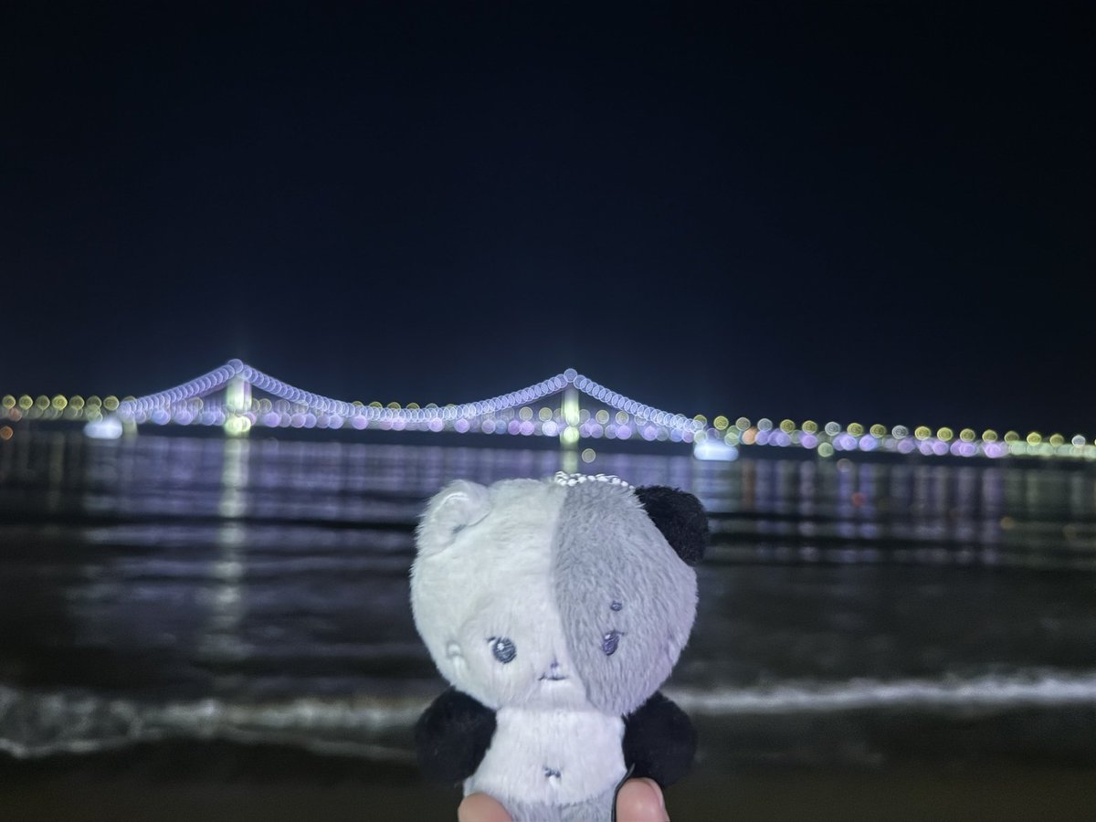 jjyeeeoni's tweet photo. 말랑한 부산여행 첫날.   🫂🫂 https://t.co/IS9A963SAz