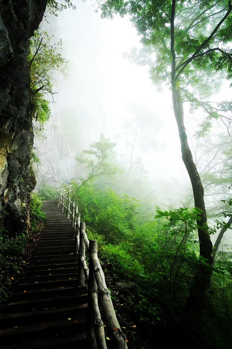 xolvvoo's tweet photo. Just spent 3 magical hours hiking the misty mountain trail—fresh pine scent, distant waterfall echoes, and no phone service to ruin the vibe. Pure escape at its finest!， https://t.co/63LX1njs3V