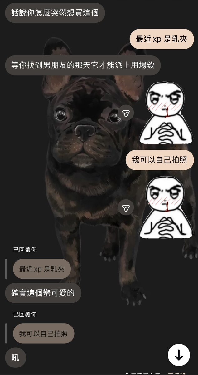 xinxin520222's tweet photo. 嚴肅流鼻血 https://t.co/MRAYfco6ad