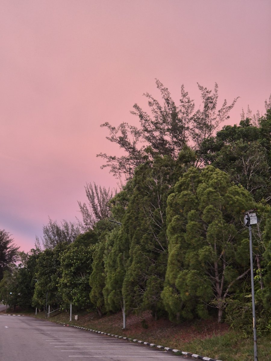 waddafuad's tweet photo. Brisk walk 🚶‍♂️ 

📍Somewhere in UBD https://t.co/ueBj2HiGte