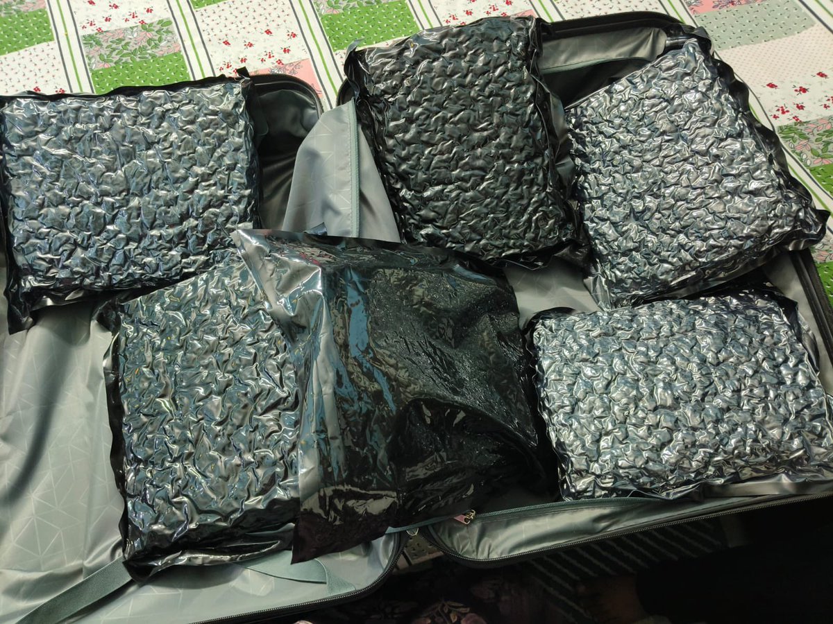 KolkataPolice's tweet photo. Acting on specific source information, the Narcotics Cell of the Detective Department conducted a well-coordinated search operation at a hotel in the Tagore Park area under Kasba Police Station around midnight.

The operation led to the arrest of one individual and the seizure of approximately 7 kg of hydroponic cannabis (weed), with an estimated illicit market value of ₹2 crore. Officers also recovered ₹76,500 in cash, two digital weighing machines, and one mobile phone from the accused.

A case has been registered at Kasba Police Station vide Case No. 382 dated 17.07.2026 under the relevant provisions of the NDPS Act. Further investigation is in progress.

Kolkata Police remains steadfast in its commitment to combating the illegal drug trade and ensuring a safer, drug-free society.