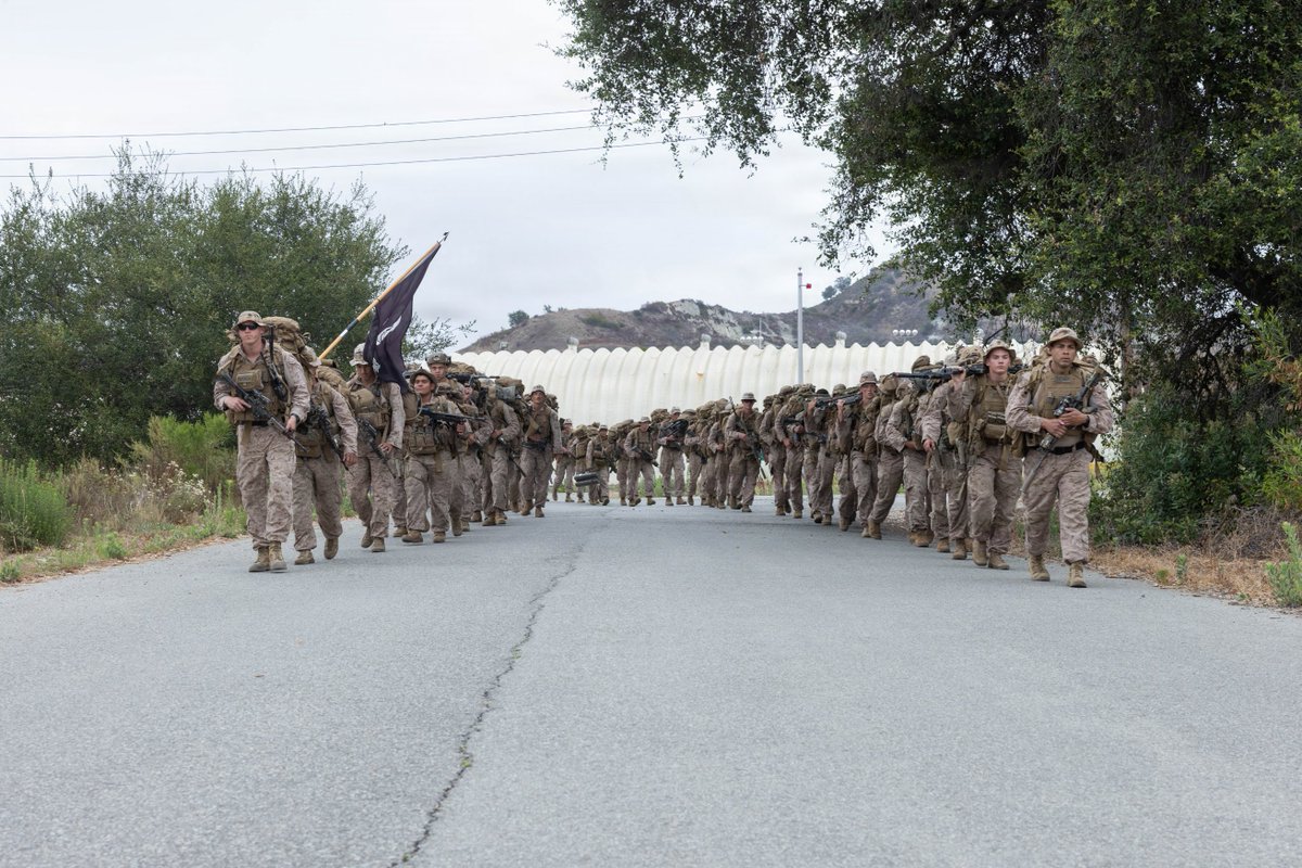 Official13thMEU's tweet photo. Forged Through Training

#Marines with #TheFighting13th execute a vertical assault raid, engage targets during live-fire training, and maneuver through terrain, strengthening their ability to rapidly seize objectives and operate in complex environments.

@USMC @USNavy @1stMEF https://t.co/4ybrZyr7WT