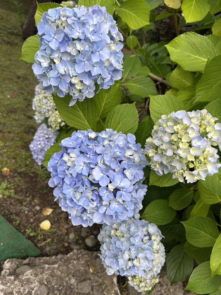runn3's tweet photo. 楽しかった😊 https://t.co/WAG6GMSfPQ