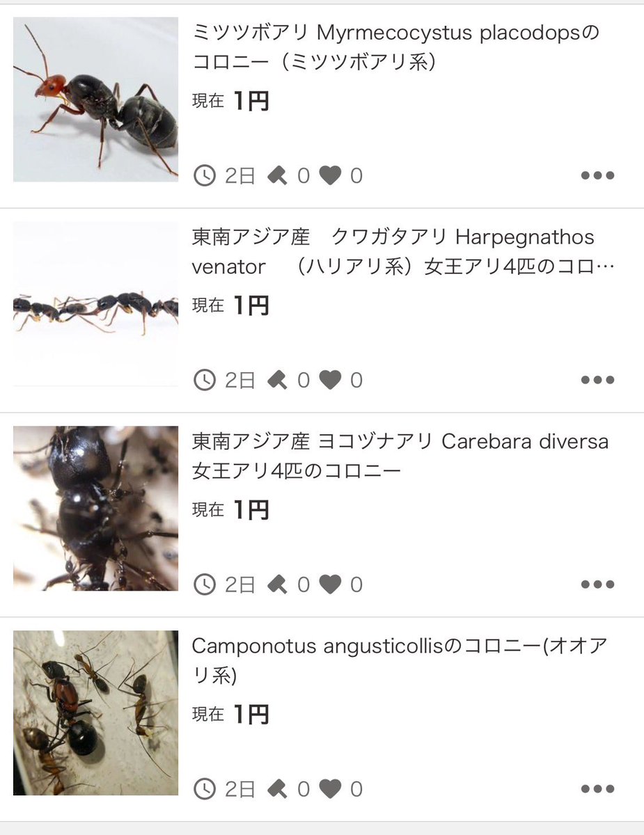 こんばんは！ ヤフオク!にてオークションを 行っております！ 今回は