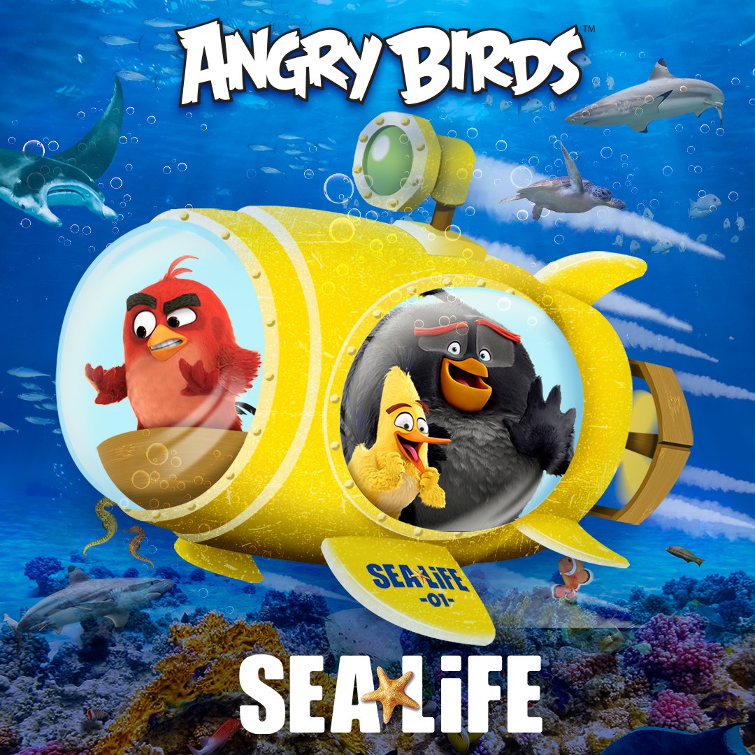 Rovio's tweet photo. Yay for Friday! 🎉 Sea Life x Angry Birds is a finalist in the Best Gaming Property category at the UK Licensing Awards. https://t.co/YdoFfNvtVJ